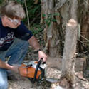 A chainsaw has the lowest environmental impact.
