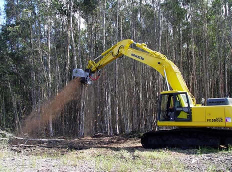 This mowing attachment--manufactured by Denis Cimaf--makes short work of mulching a melaleuca tree.