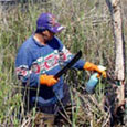 using boats to treat Melaleuca with herbicides